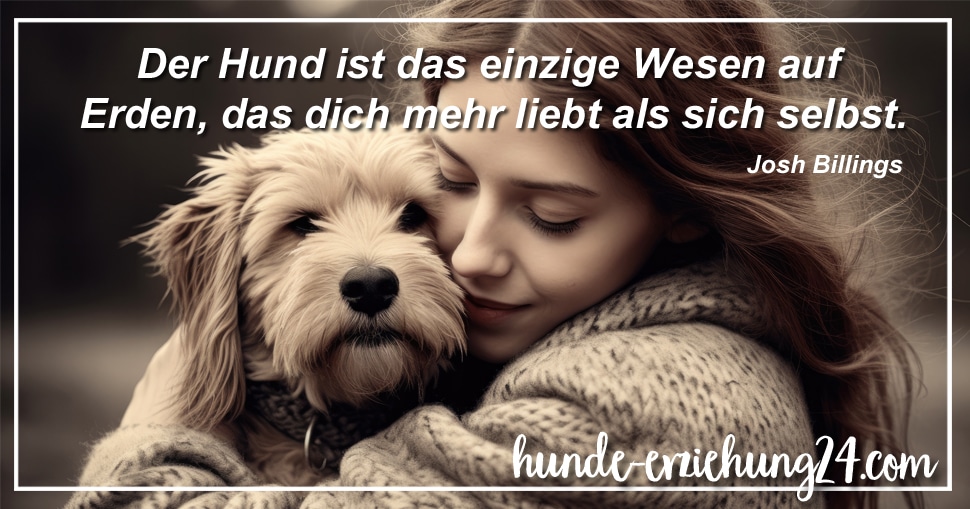 Der Hund ist das einzige Wesen auf Erden, das dich mehr liebt als sich selbst.