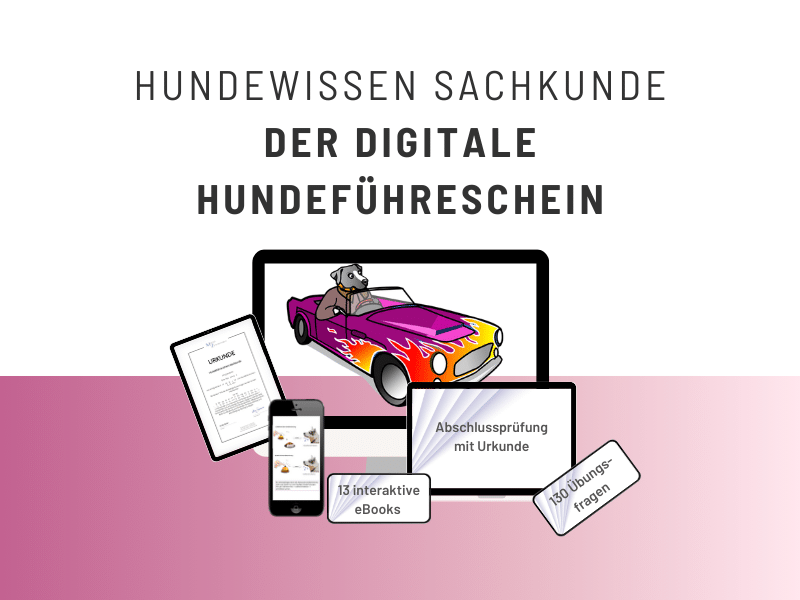 der_digitale_hundefuhrerschein_09-2023.1693991771
